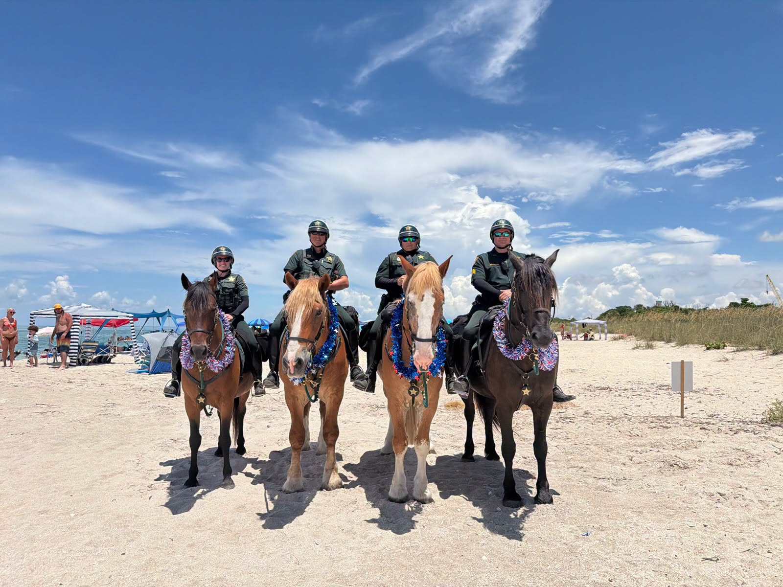mounted group